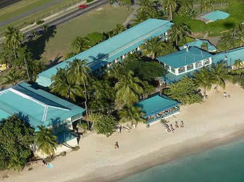Island Beachcomber