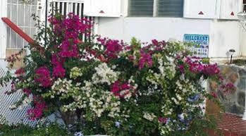 Bed & Breakfast Hillcrest