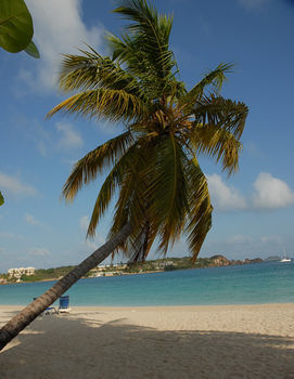 Hotel Island Beachcomber
