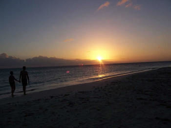 Island Beachcomber Altona