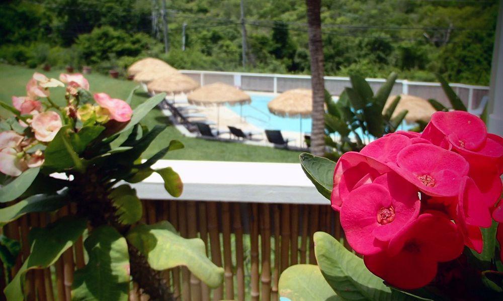 Flamboyan On The Bay & Aparthotel 3*