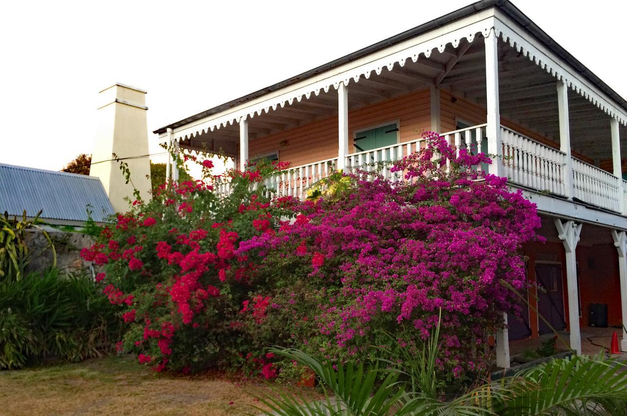 Castle On The - Adults Only Hotel Frederiksted
