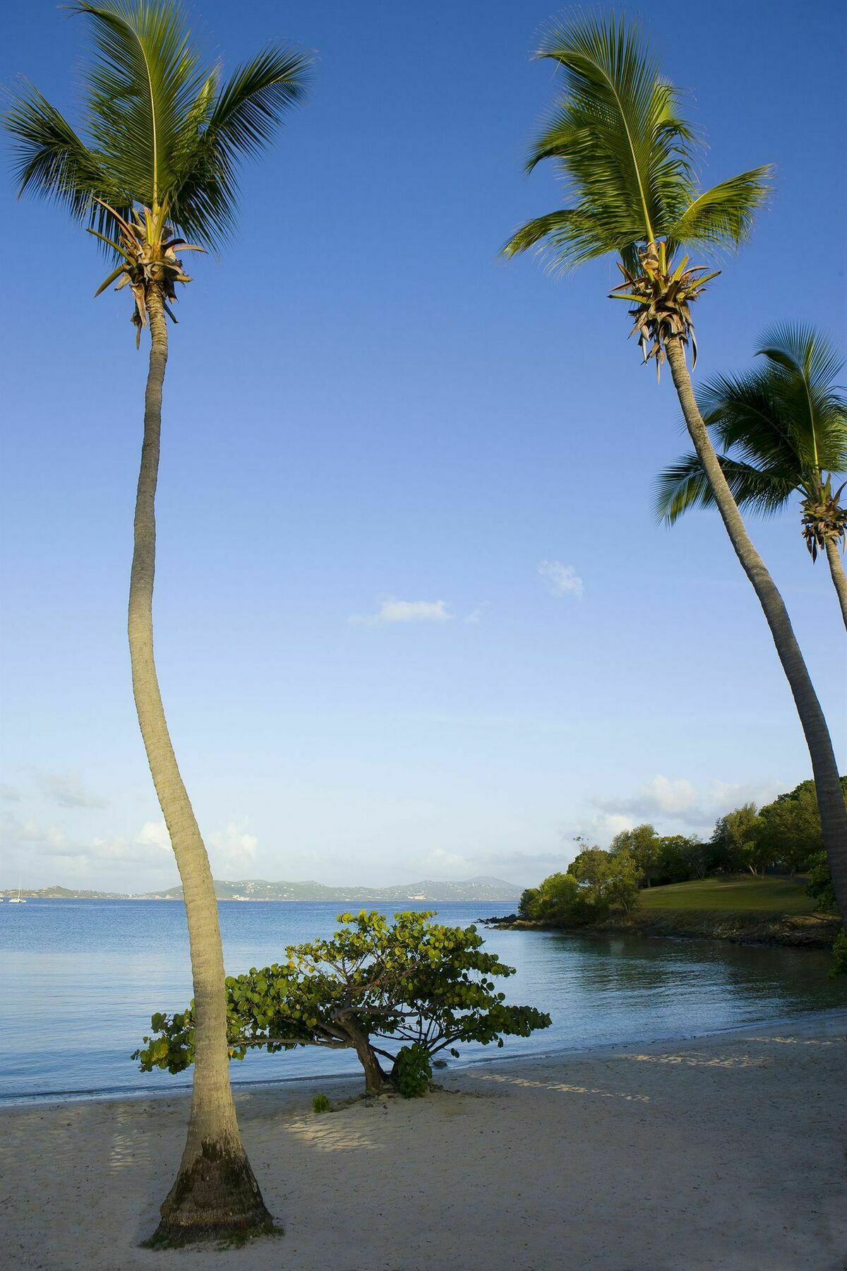 Resort Caneel Bay 5*