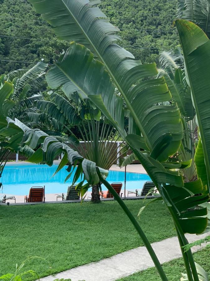 Flamboyan On The Bay & Aparthotel Canaan