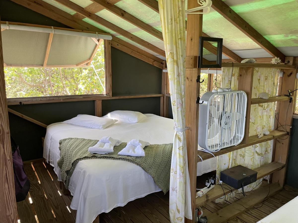 Campsite Virgin Islands